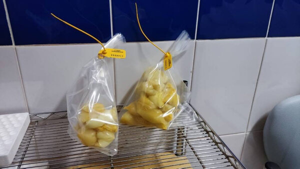 Кокаин, который мужчина пытался пронести в желудке. Фото © Telegram / ФТС России | ProТаможню