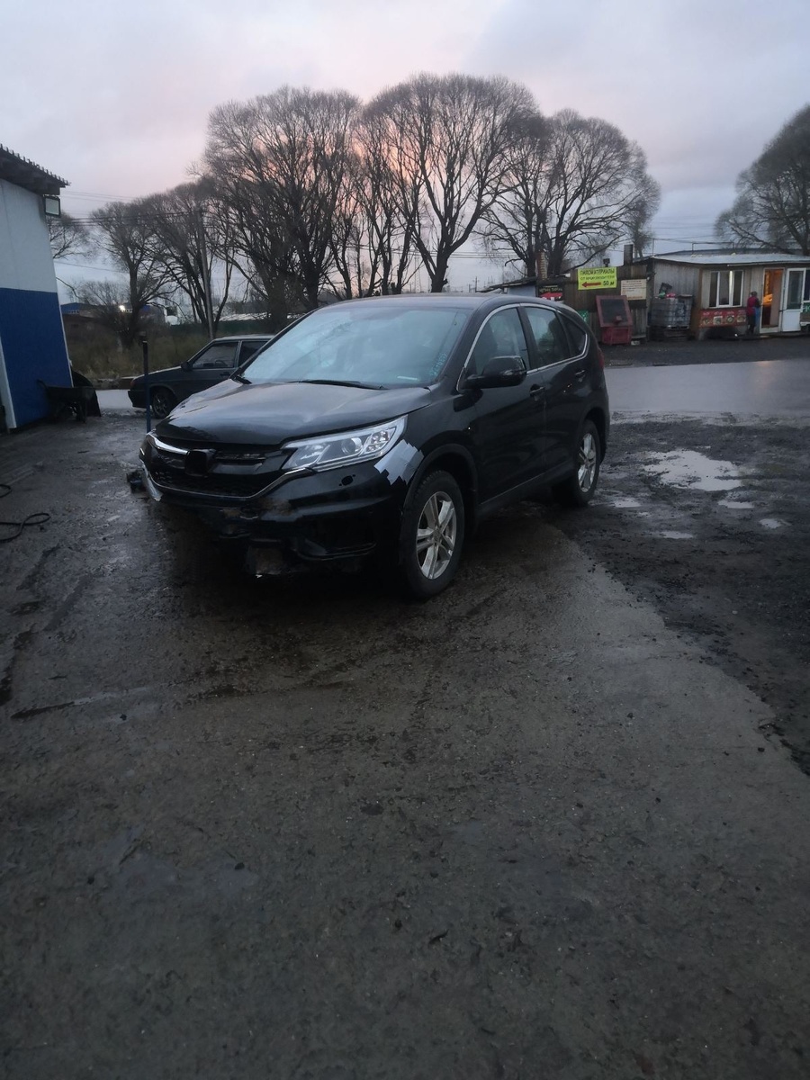 Вот наша красотка