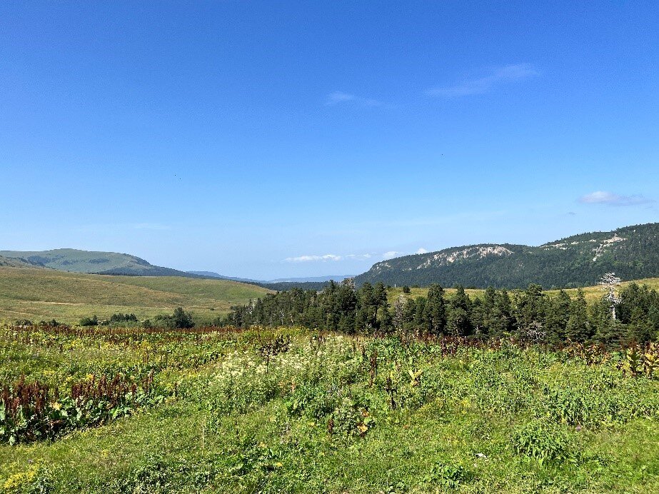 Плато Лаго – Наки 