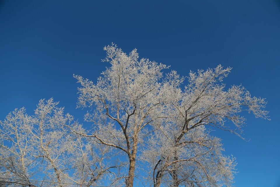     Очень высокое атмосферное давление ждет рязанцев 4 декабря. Мария АНАНОВА