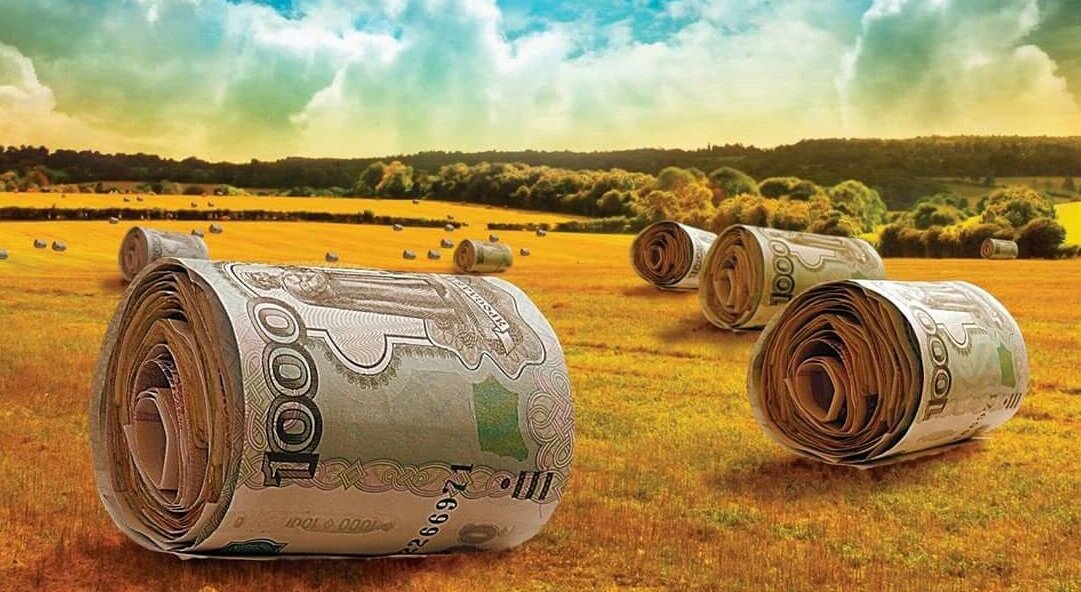 Иллюстрация из открытых источников 
