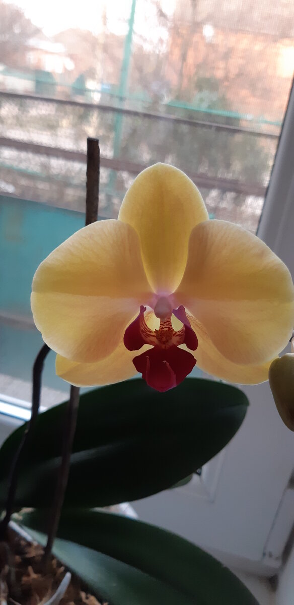 Фото из личного архива