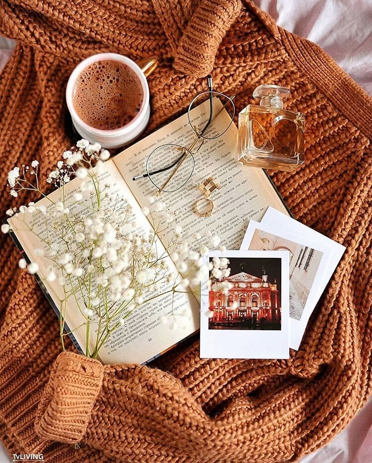 Изображение взято из интернета