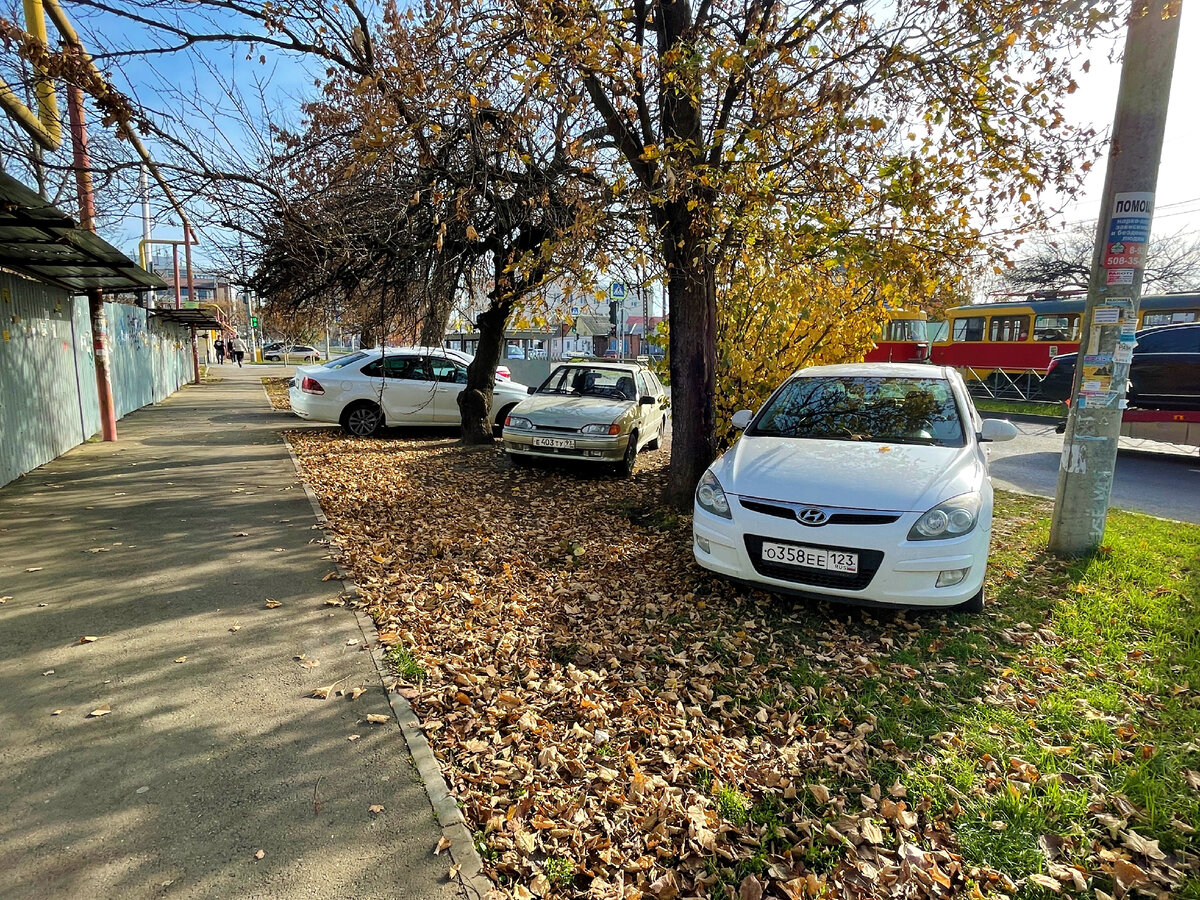 Люди в Краснодаре умудряются ставить авто на газоны перед домом, но это  можно только местным, а не чужакам, рассказываю свой случай | Под зонтиком  | Дзен