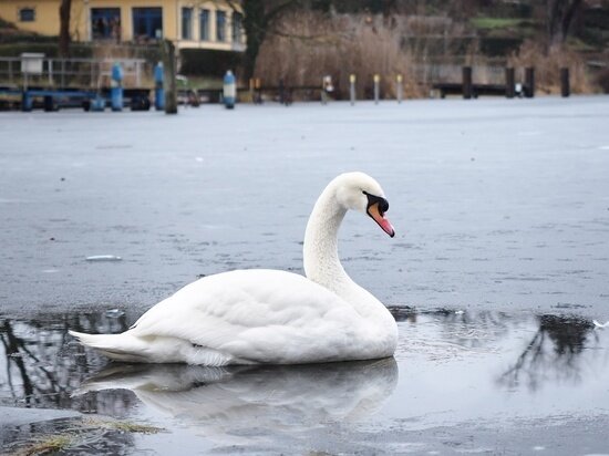     ФОТО: PIXABAY.COM