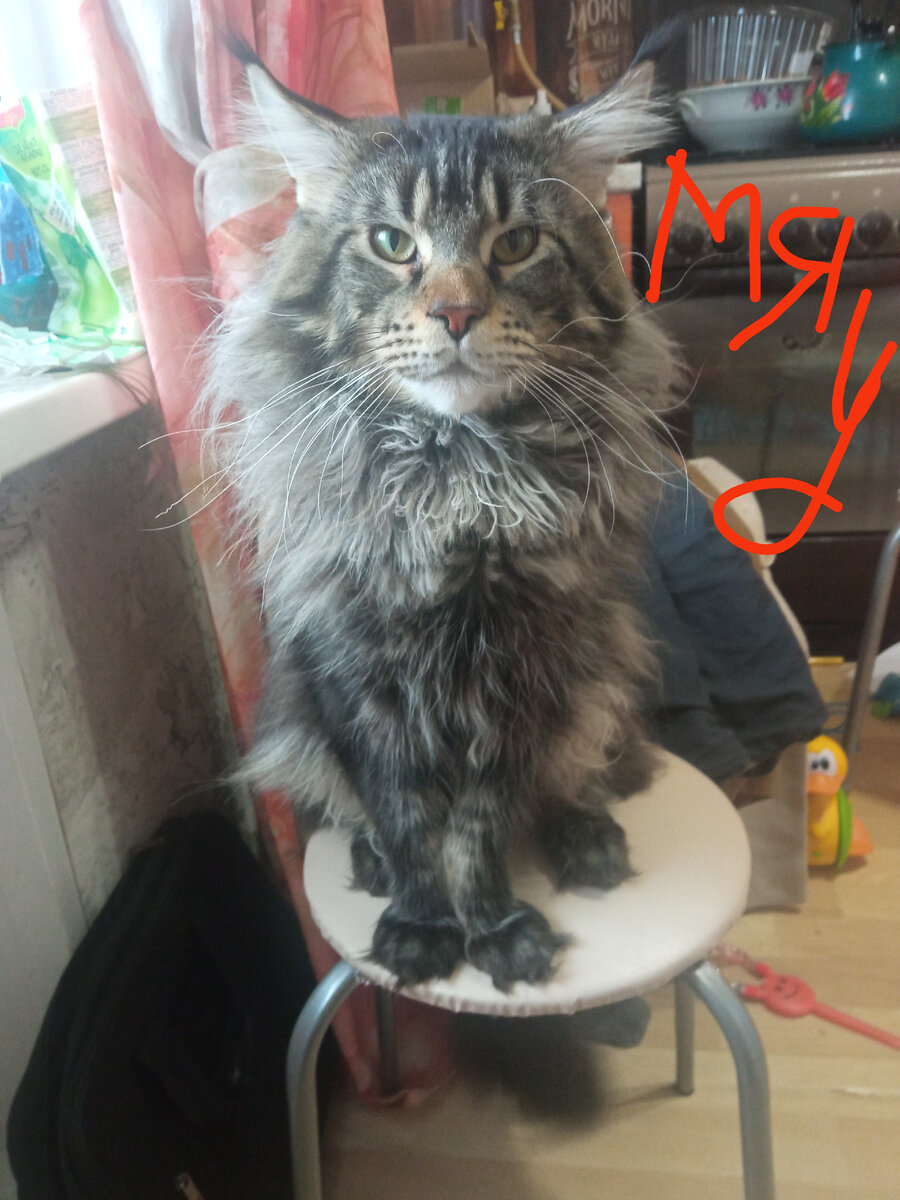 Личное фото