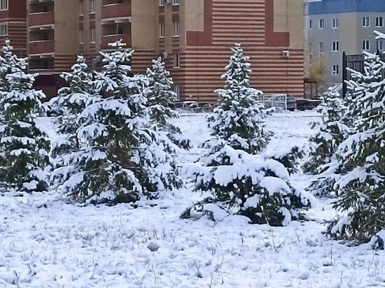     Архив "МК в Оренбурге"