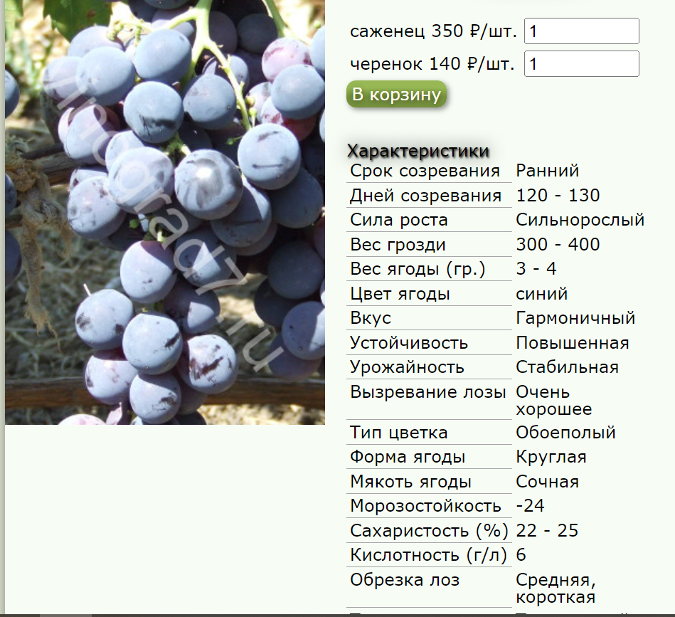 это еще не вся информация влезла на экран