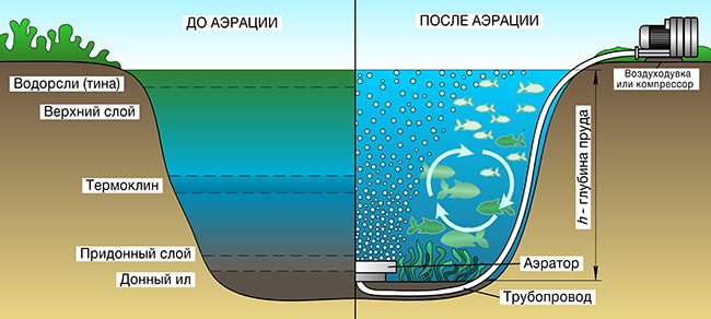 Системы аэрации