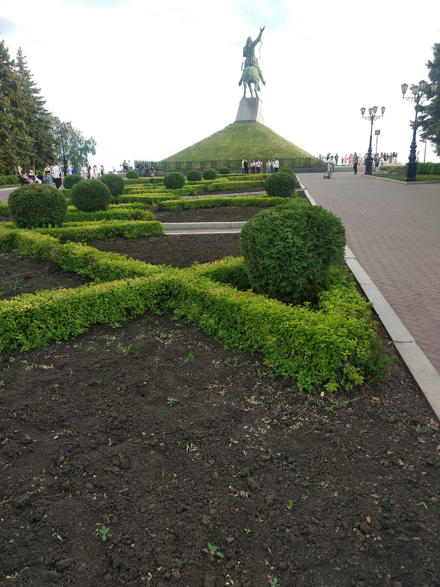 вид сзади