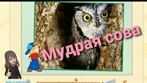 Менделеевский муниципальный район