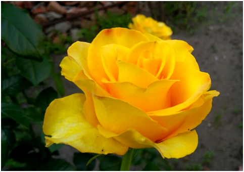 Ставьте лайки и подписывайтесь на мой канал