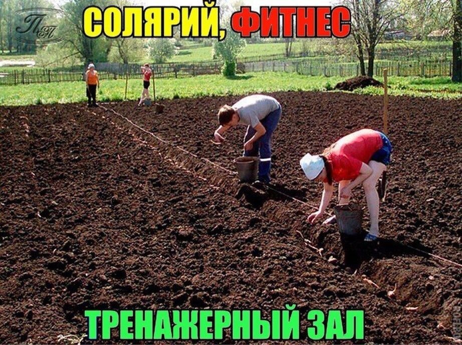 Вот и мы так совсем недавно!..