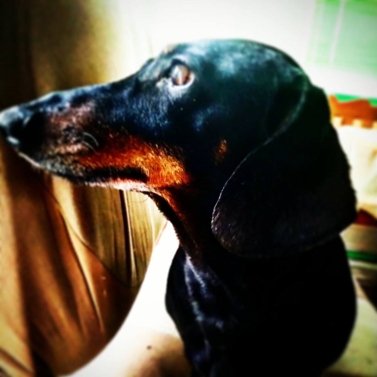 Джонни Такса