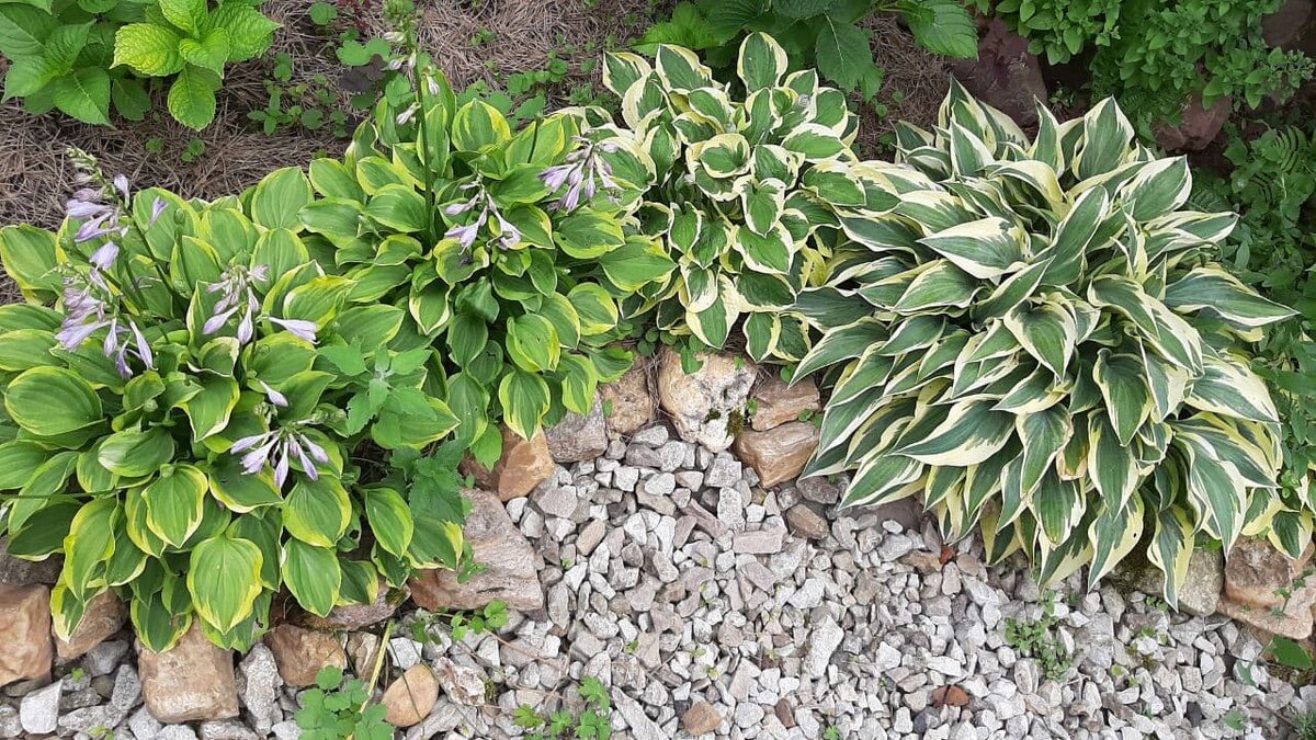 Фото из архива автора