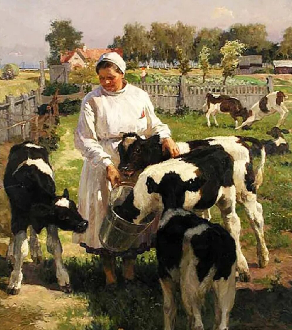 Фото из интернета 