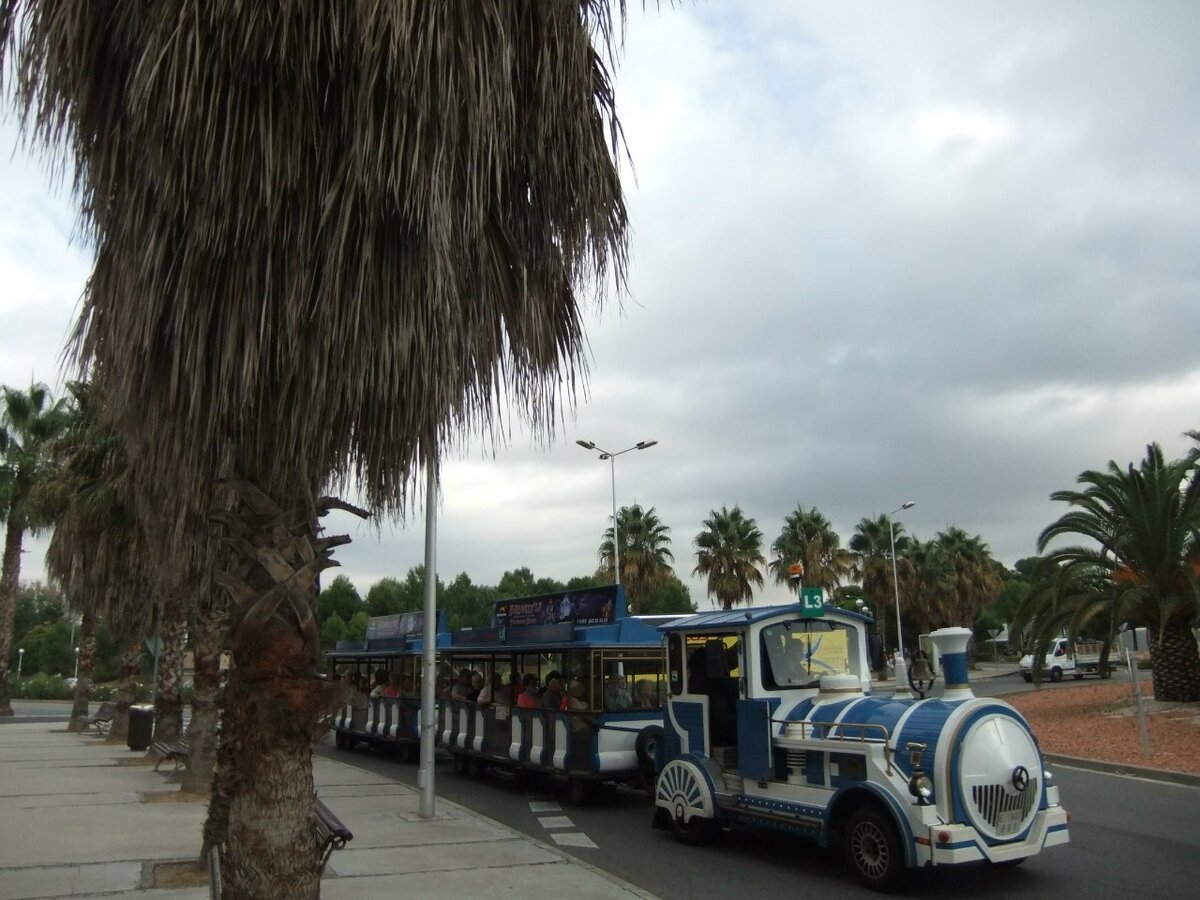 Фото автора статьи