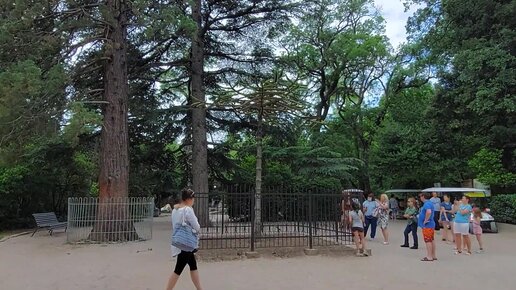 Городской пляж в Алупке. Но сначала смотрим Воронцовский парк