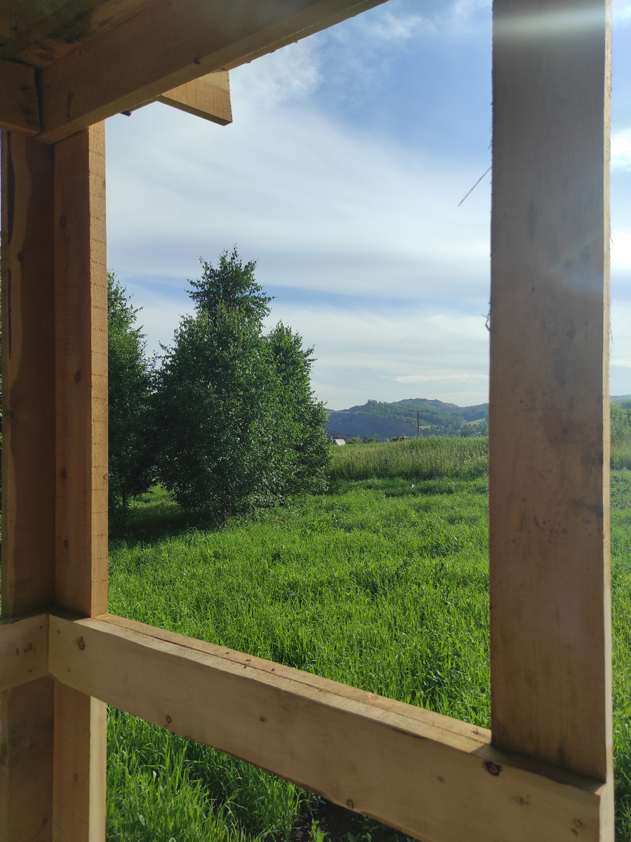 Небольшой лесочек делит наш участок на две половины