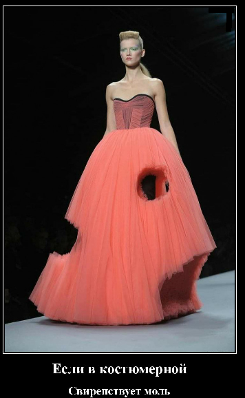 Яндекс картинки