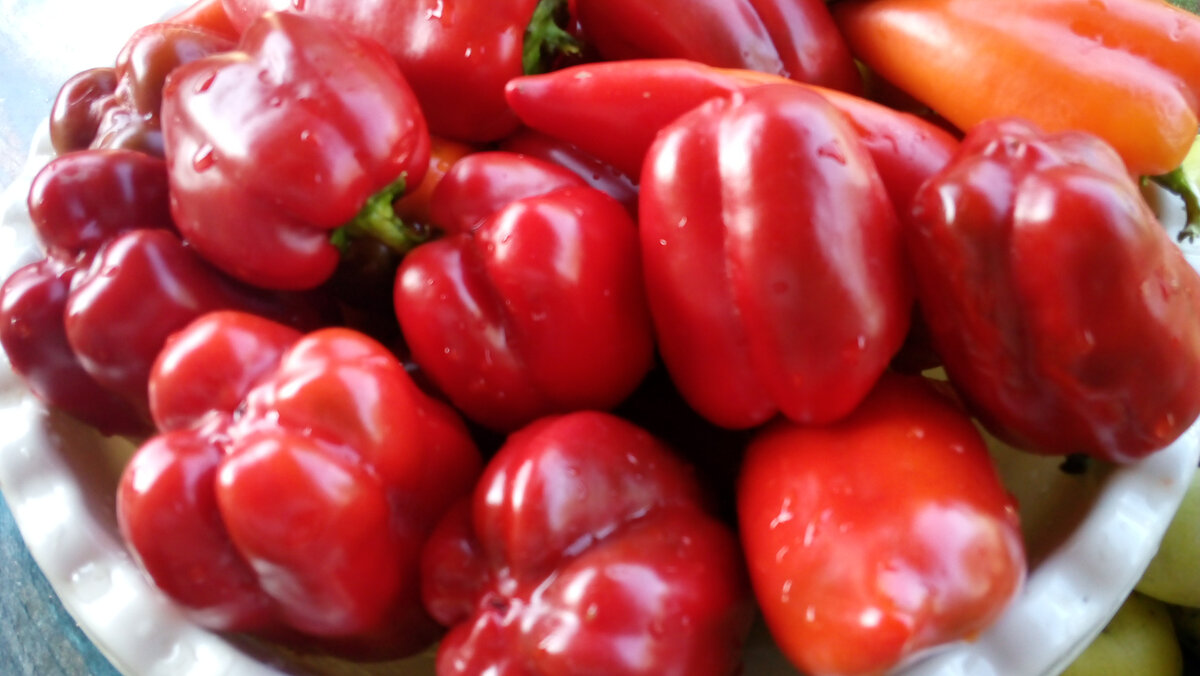 Для этого рецепта очень подойдут плотные, толстостенные, мясистые овощи. Фото автора.