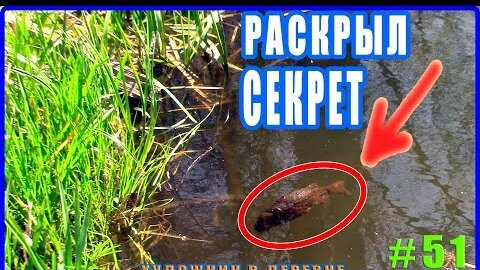 Ника и Настя ебутся в деревне скрытой камерой в городе Красноярск - лучшее порно видео на pornness.ru