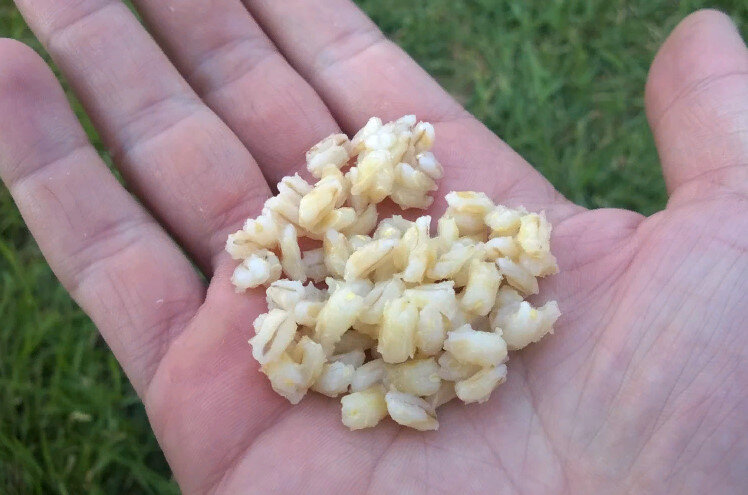 Фото с сайта: https://activefisher.net