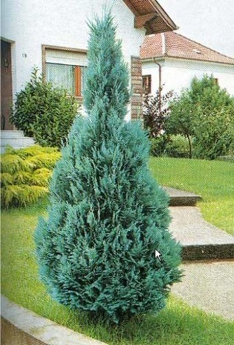 Изображение для иллюстрации, взято из открытых источников