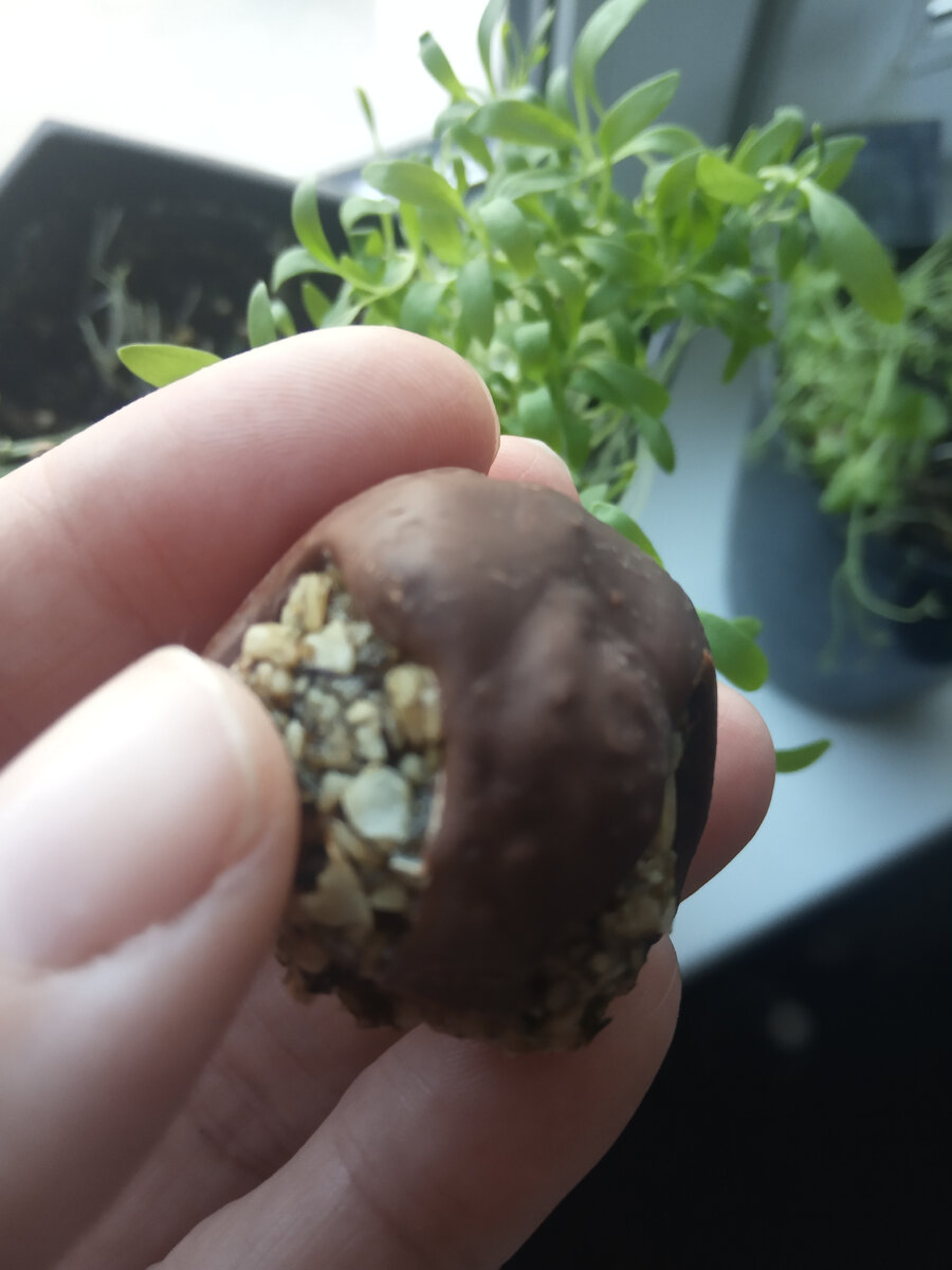 RAW-конфеты собственного приготовления