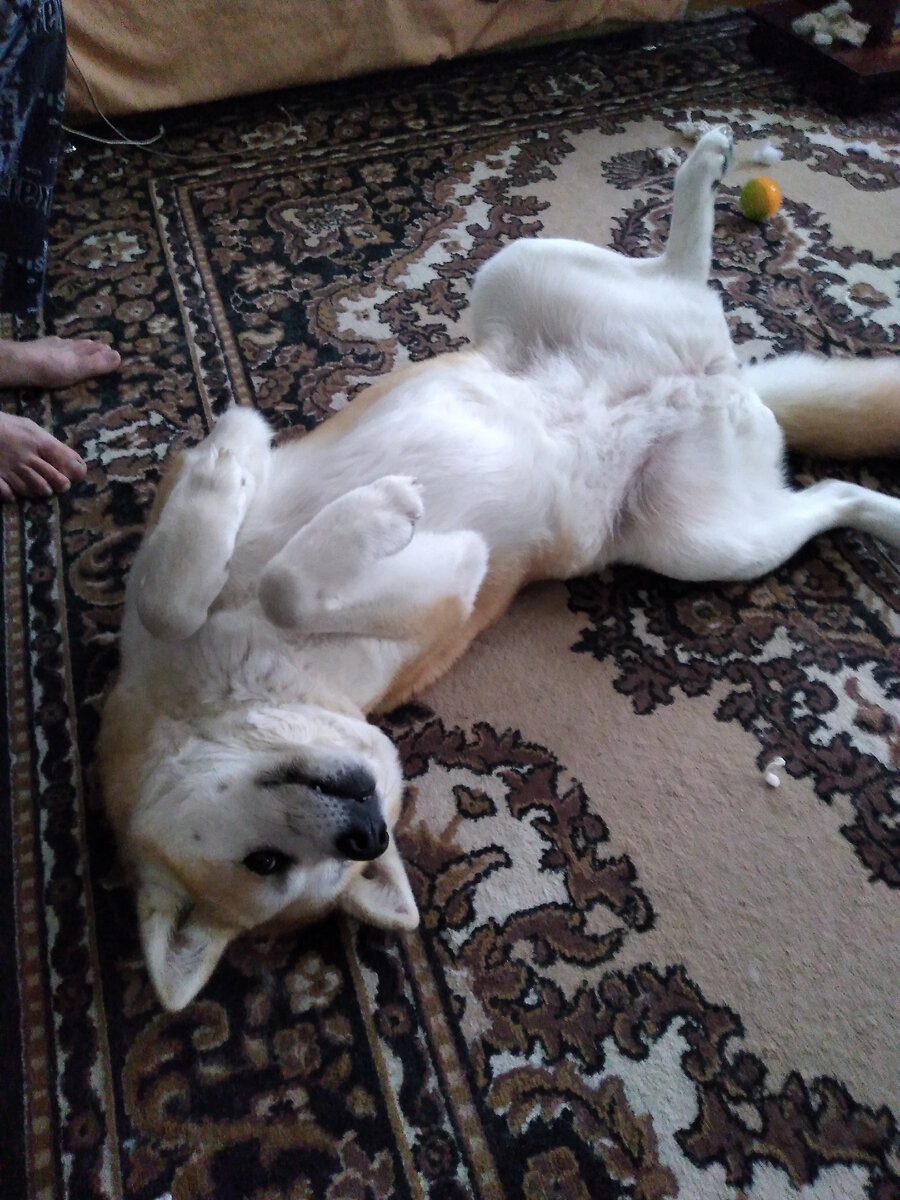 Далия играет в зайчика.