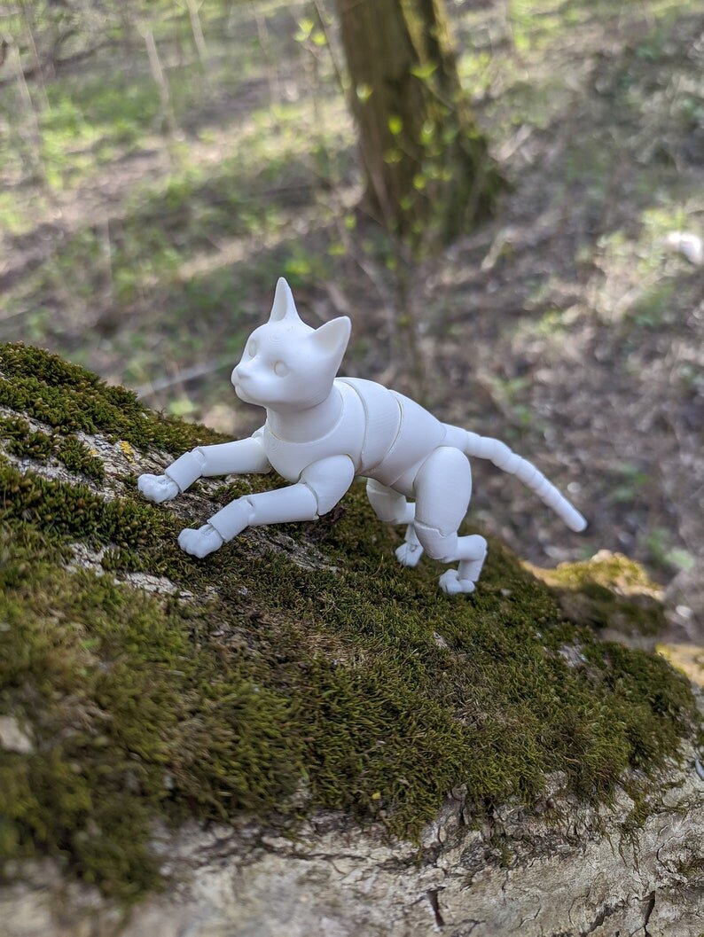 https://www.etsy.com/listing/781230017