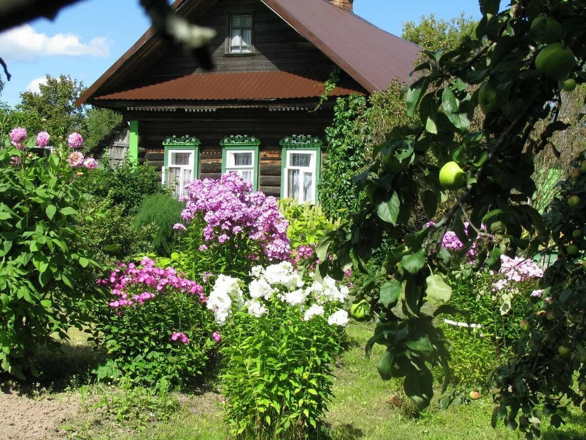 Дом с сиренью под окном