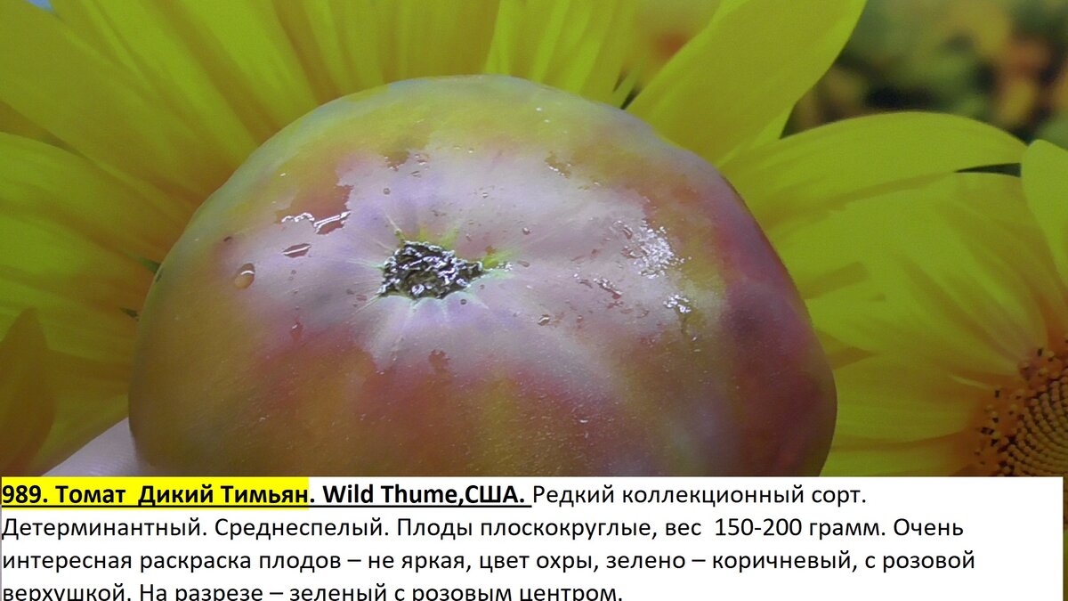 -126