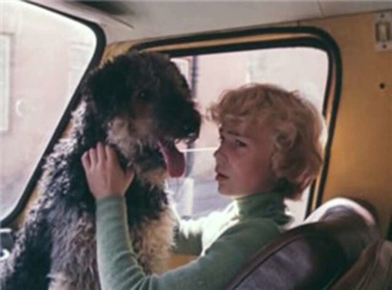 В галерее – кадры из советских фильмов «Приключения Электроника», «Трое в лодке, не считая собаки» и «Белый Бим Черное ухо»