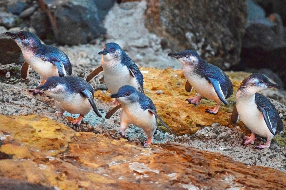 Замаскировались (нет).