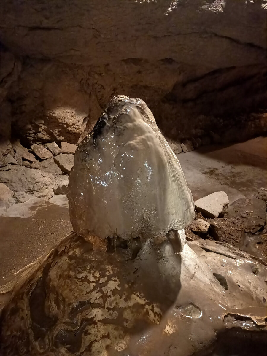 Почему-то женщины любят дотронуться до этого чуда природы.