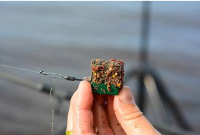 Кормушка, наполненная прикормкой 