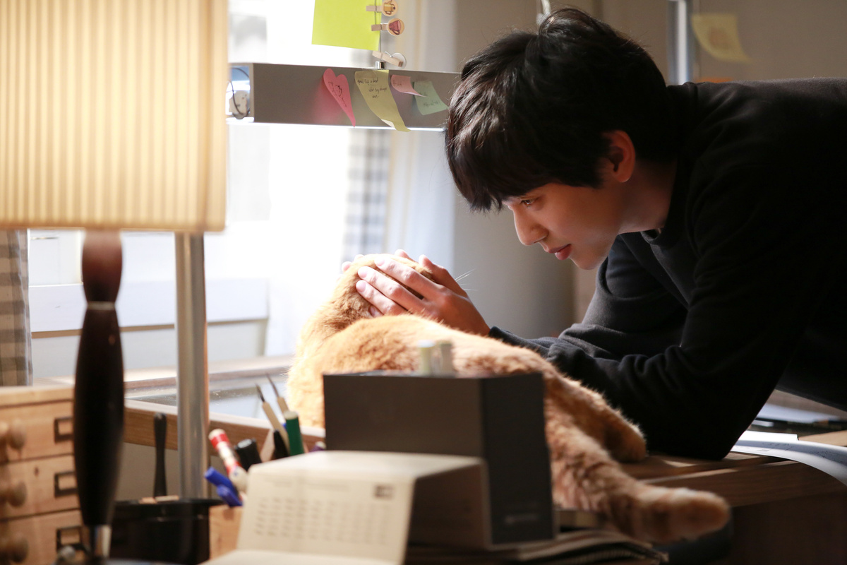 источник: яндекс картинки