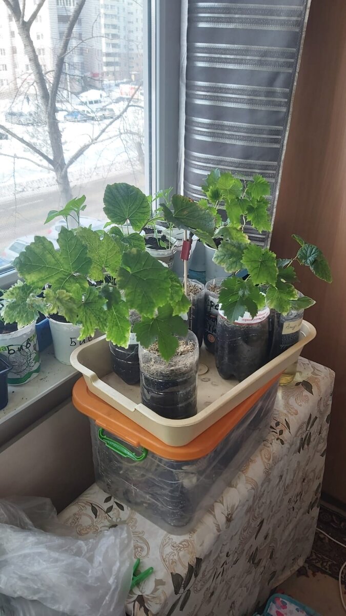 Фото от 15 марта 22 года