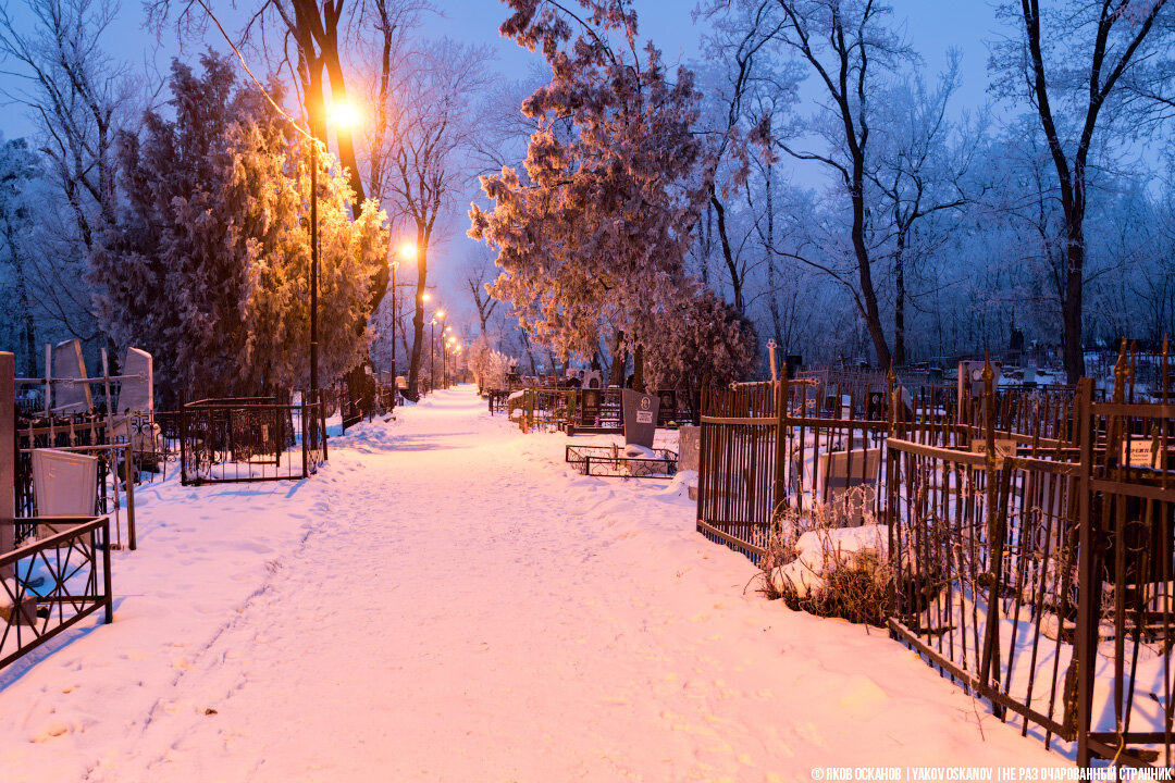 Ну, и чтобы как-то разбавить мрачность темы, немного уютных кладбищеских фоточек :)