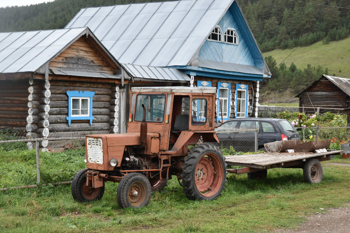 Стоит ли купить дом в деревне и завести хозяйство 