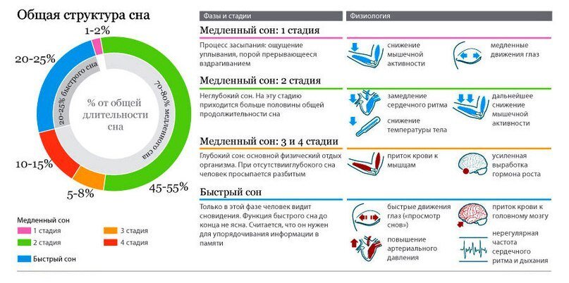 ОБЩАЯ СТРУКТУРА СНАЧАЛА