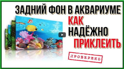 Задний фон для аквариума. Какой выбрать. - YouTube | Фон, Аквариум, Растения