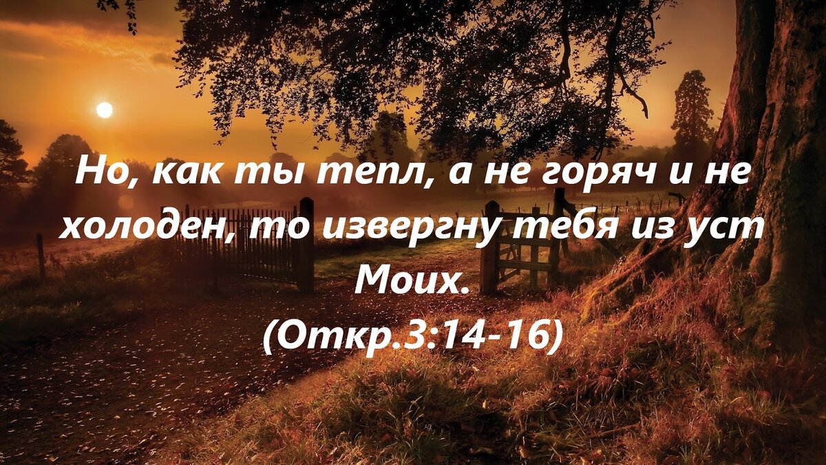 Что ждёт душу после смерти, и почему нужно готовиться к переходу в иной мир  на протяжении земной жизни? | Христианство и смысл жизни | Дзен