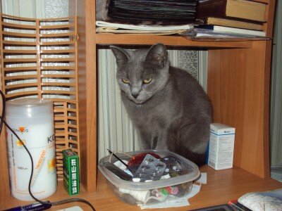 Бася, это она внесла свои поправки в работу клавиатуры