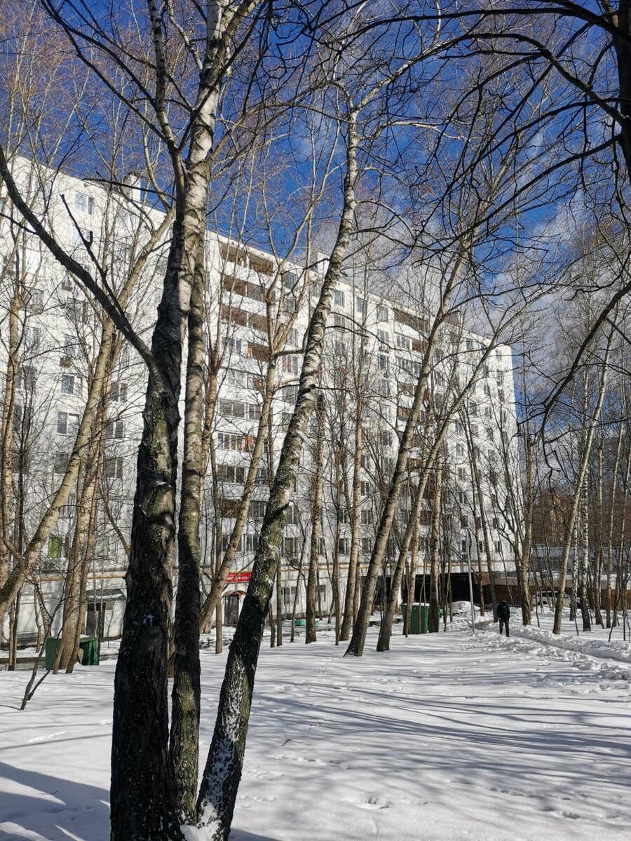  Фото: Vysotsky Estate Запад 