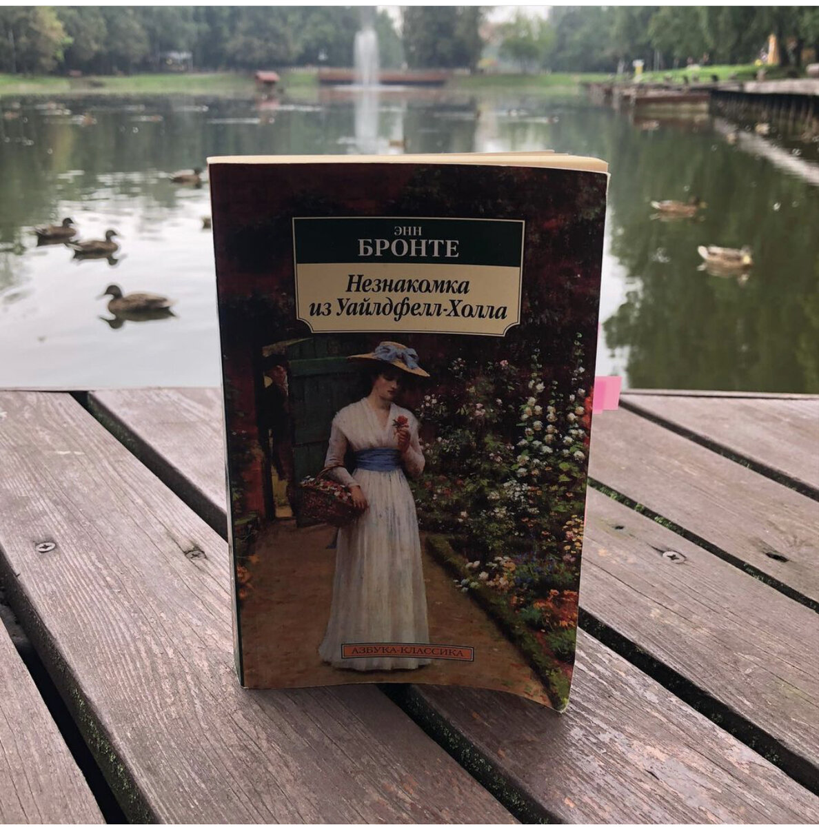 Энн Бронте «Незнакомка из Уайлдфелл-Холла»