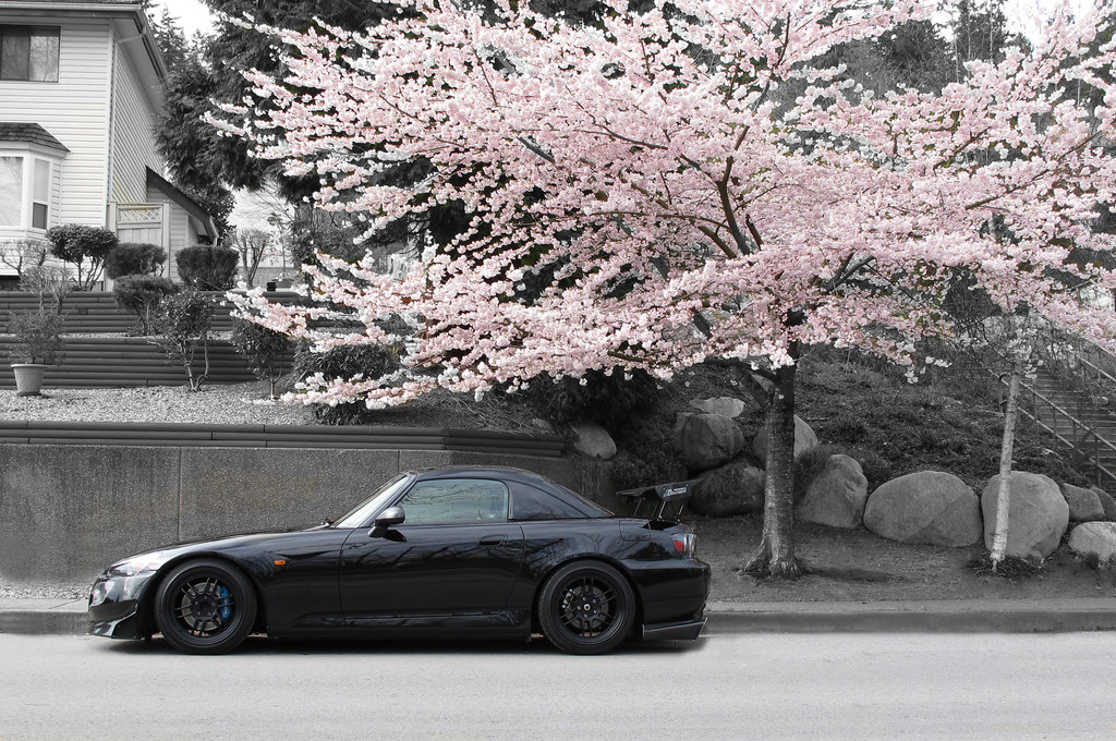 Mazda rx7 Сакура. Silvia s13 под сакурой. Honda s2000 stance. Honda s2000 2020.
