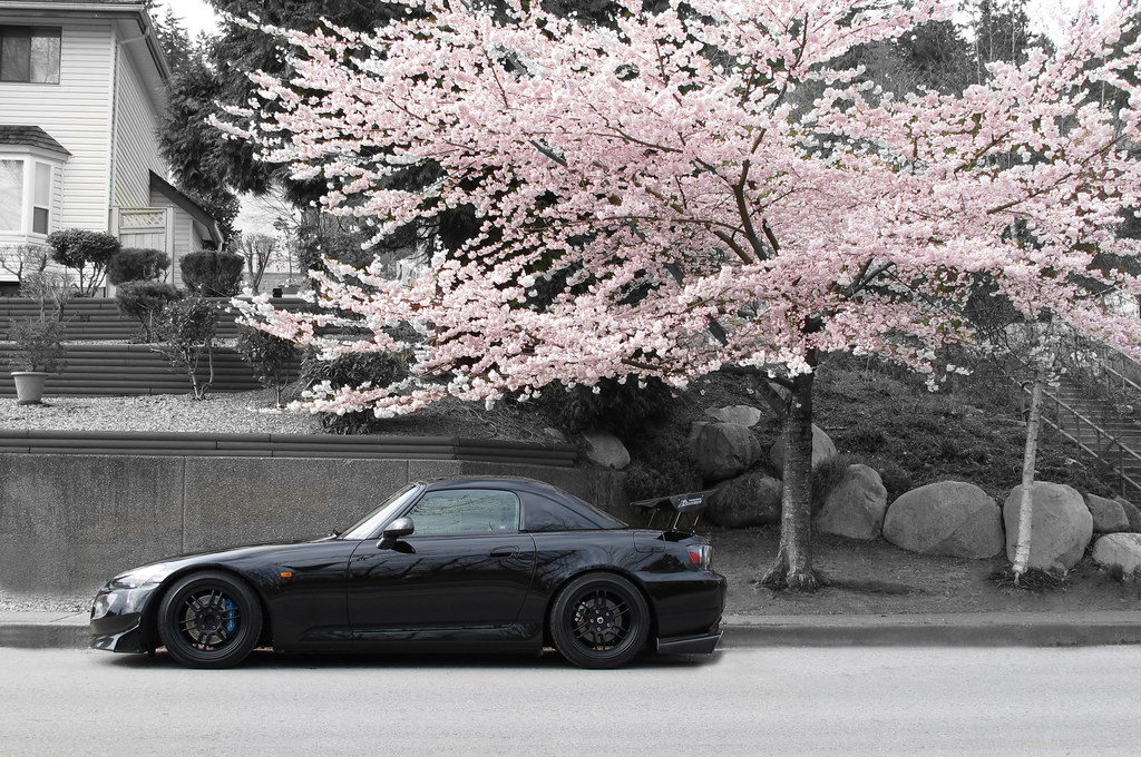 From japan with love авто. Mazda rx7 Сакура. Тойота Супра Сакура. Silvia s13 под сакурой. Honda s2000 stance.