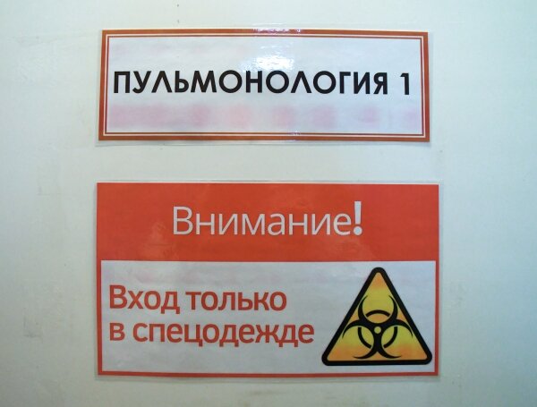 Фото: РИА Новости/Илья Наймушин